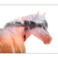 Cheval de gloire - 50x75cm