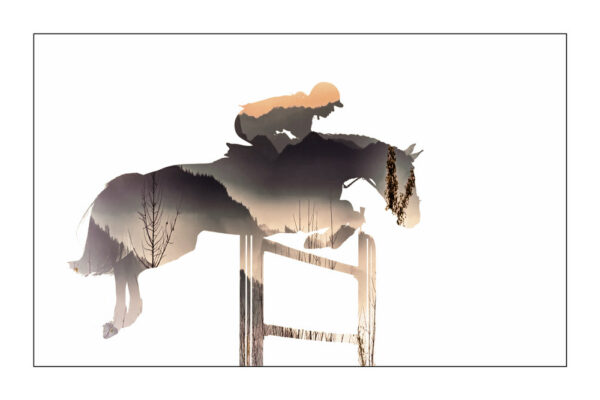 De la terre au ciel - Christophe Tanière