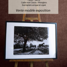 Éclats Equins - 70x50cm