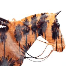 Effusions - Taniere Christophe