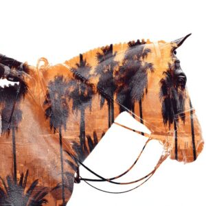 Effusions - Taniere Christophe