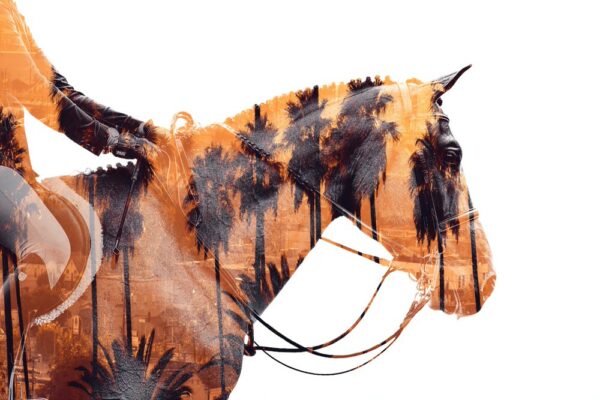 Effusions - Taniere Christophe