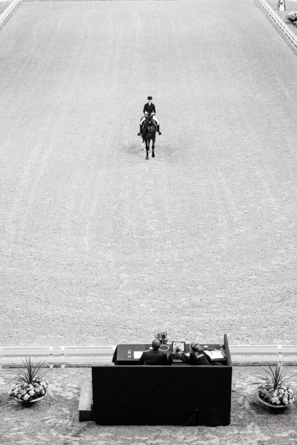 En piste - dressage En piste - dressage