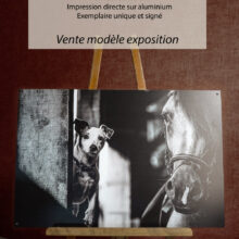 Jack & Horse 60x90cm