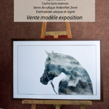 Liberté - Cheval Arabe