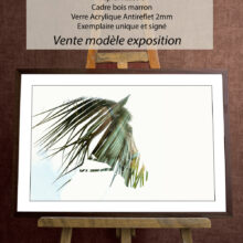 Lignes de la nature - Taniere Christophe