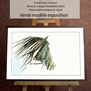 Lignes de la nature - Taniere Christophe