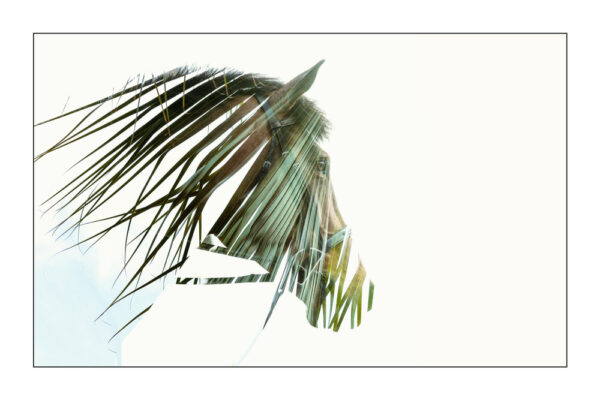 Lignes de la nature - Taniere Christophe