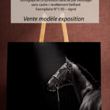 Ombre et lumière - 60x80cm Ombre et lumière - 60x80cm