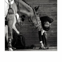 Préparatifs - Taniere Christophe