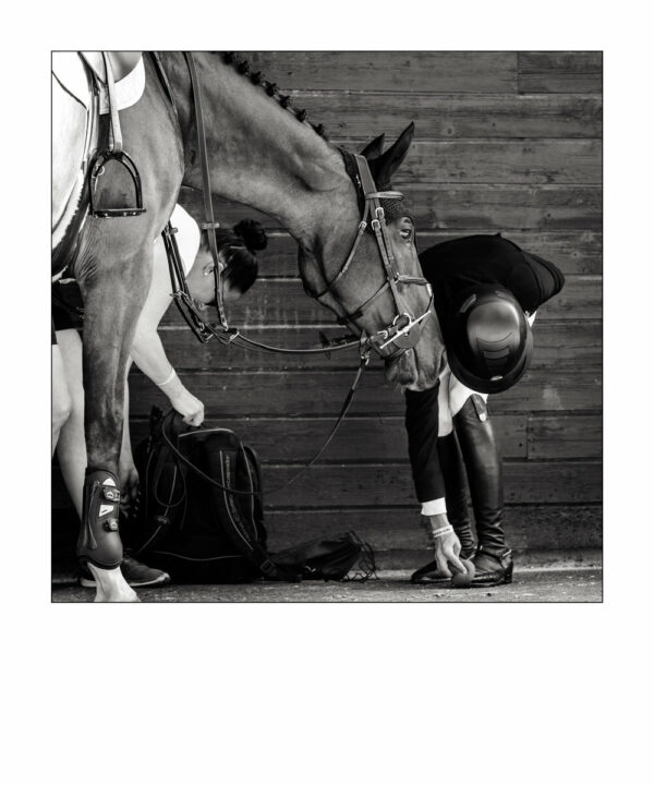 Préparatifs - Taniere Christophe