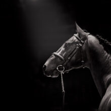 ombre et lumiere-60x80cm ombre et lumiere-60x80cm