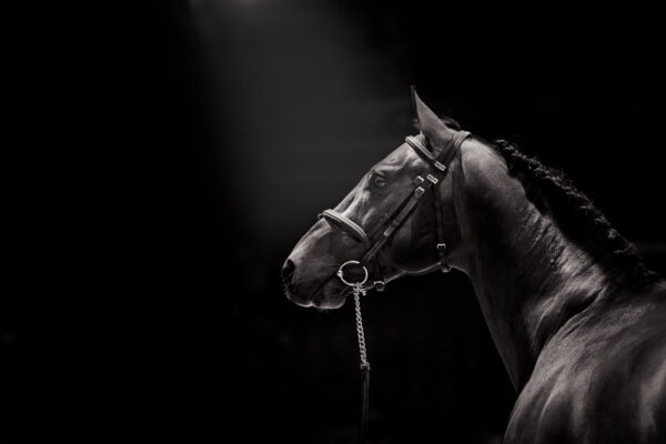 ombre et lumiere-60x80cm ombre et lumiere-60x80cm