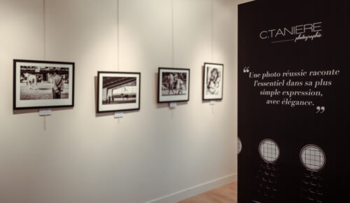ventes speciales - Christophe Tanière - photographe équestre